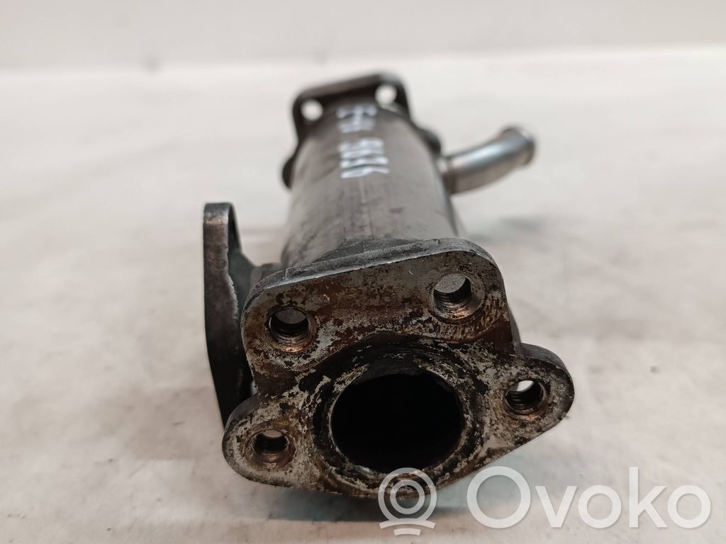 EGR valve cooler   9636