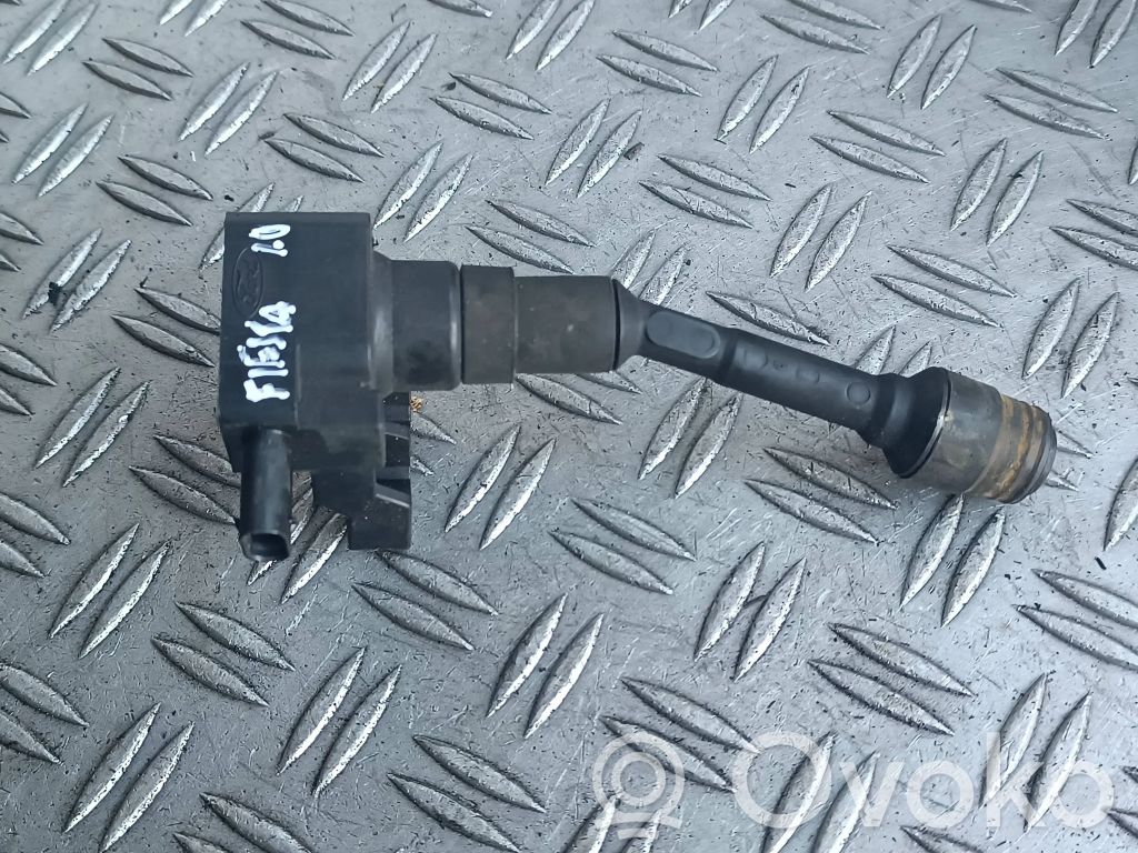 Ford Fiesta Aukštos įtampos ritė "babyna" 
