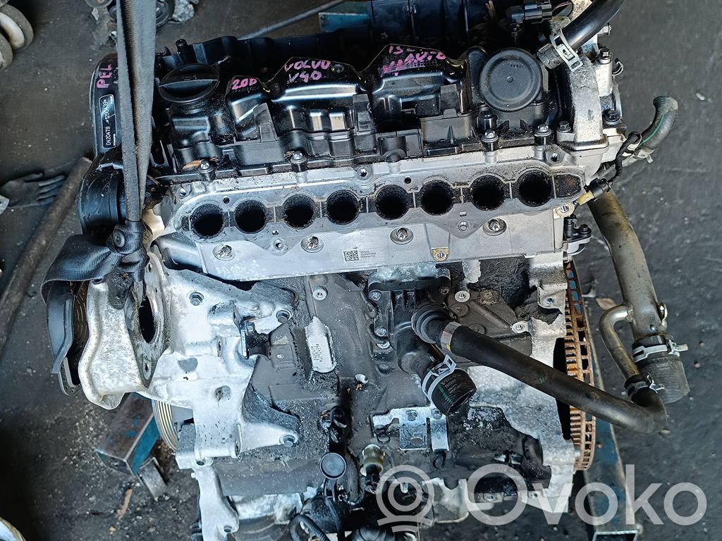 Variklis   D4204T9,1290439