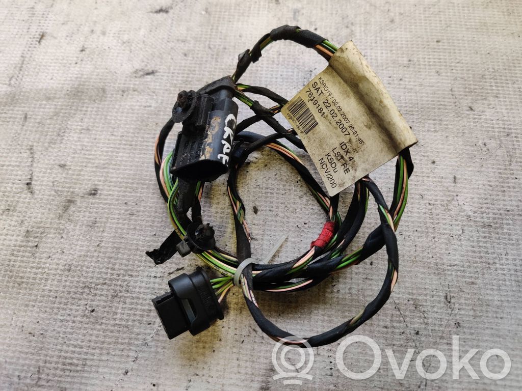 Volkswagen Crafter Front door wiring loom 