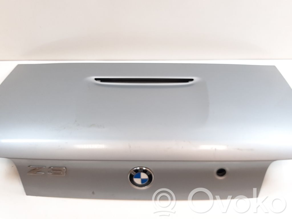 Tailgate/trunk/boot lid
