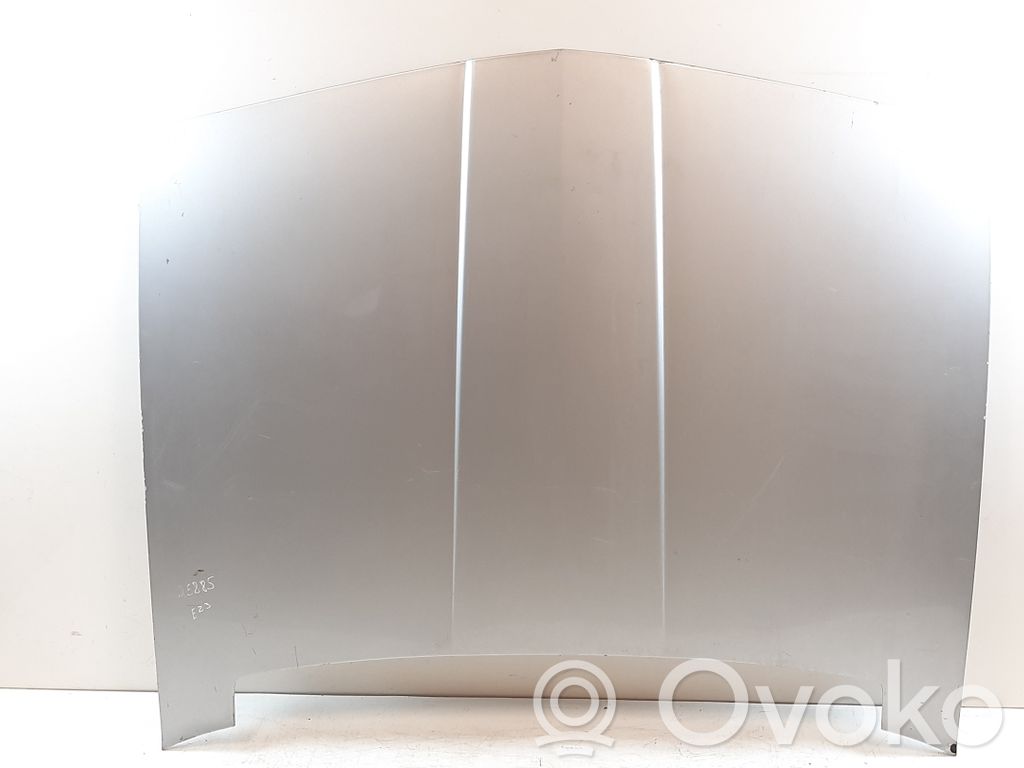Engine bonnet/hood