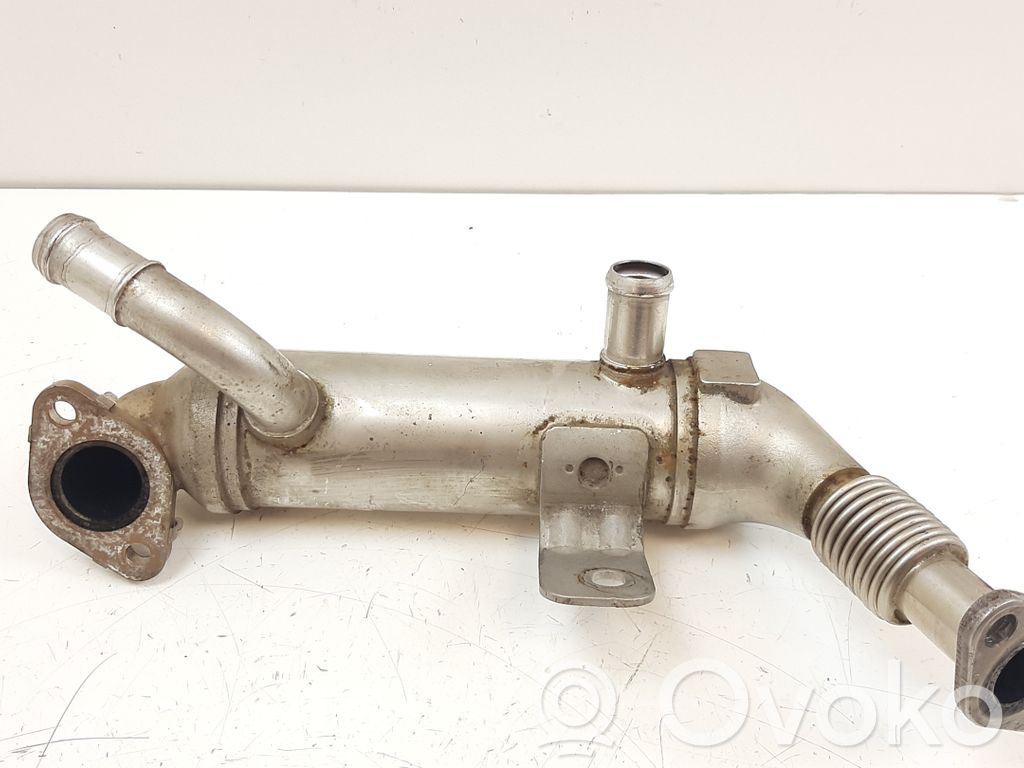 EGR aušintuvas   284162A410