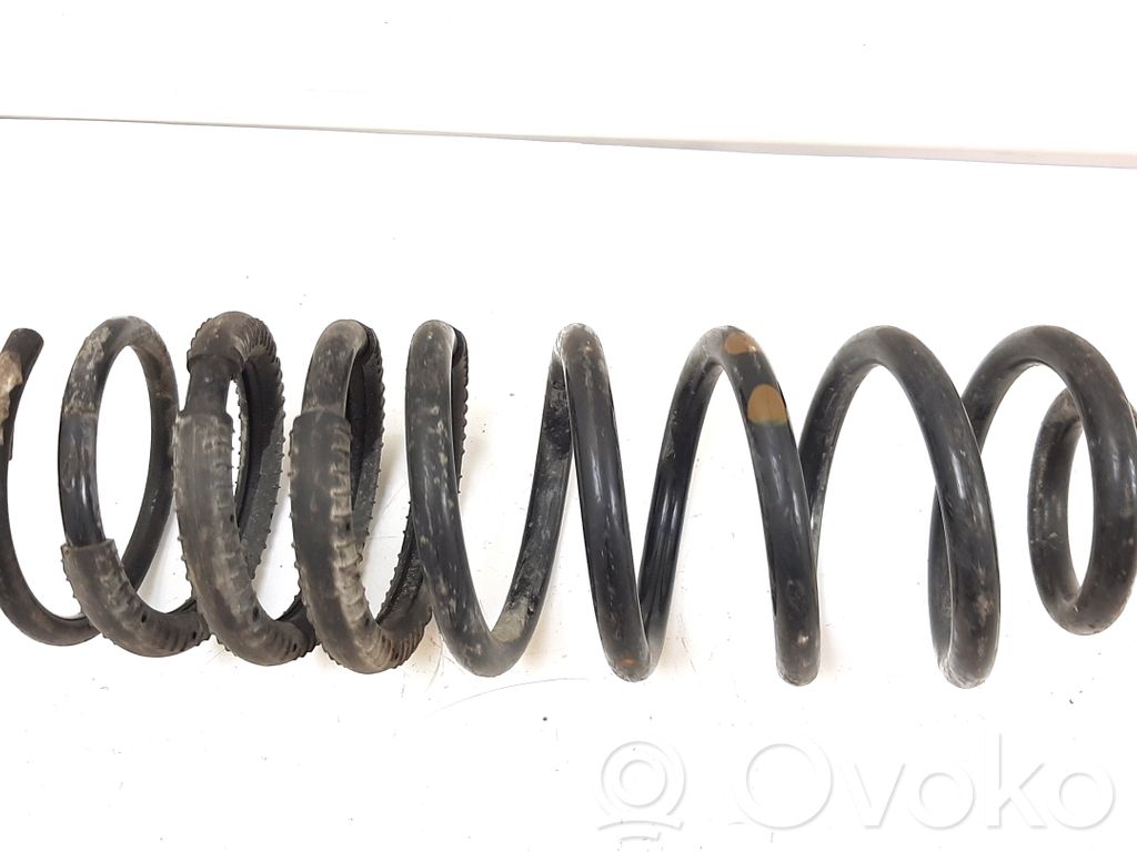 Rear coil spring