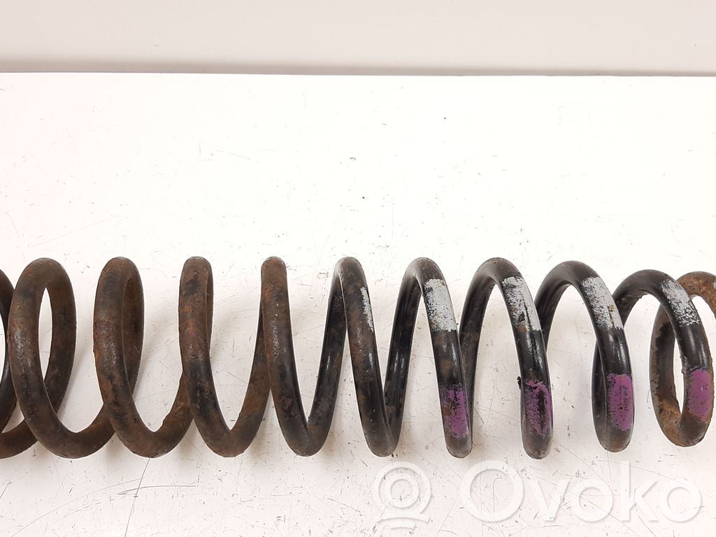 Front coil spring