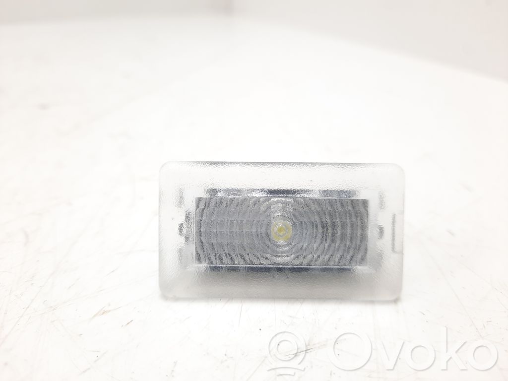 Tesla Model 3 Rear door interior light 