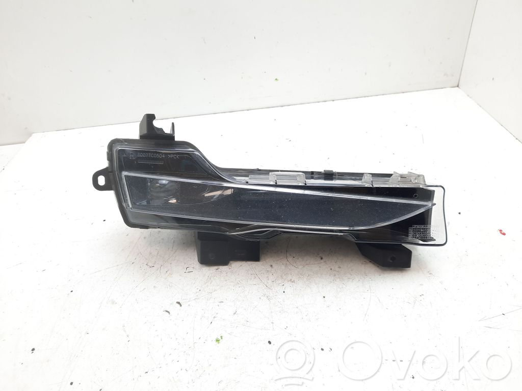 Front fog light   107739600D