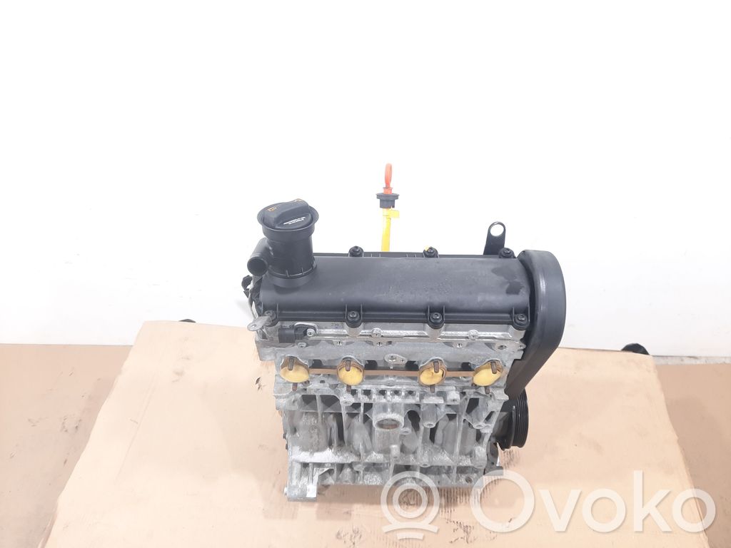 Volkswagen Golf VI Engine 
