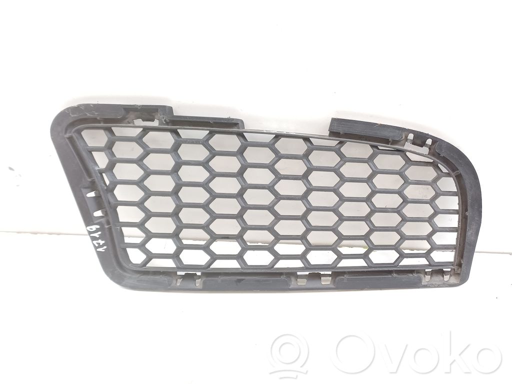 Front grill   8047393