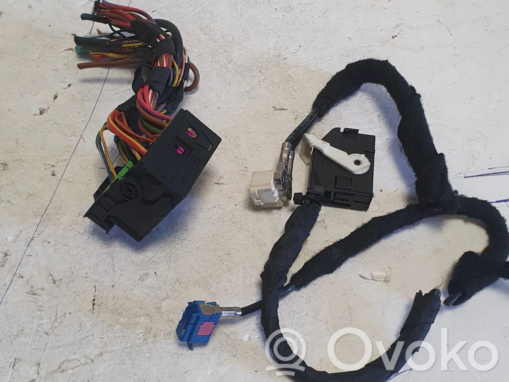 Volkswagen Tiguan Sound system wiring loom 
