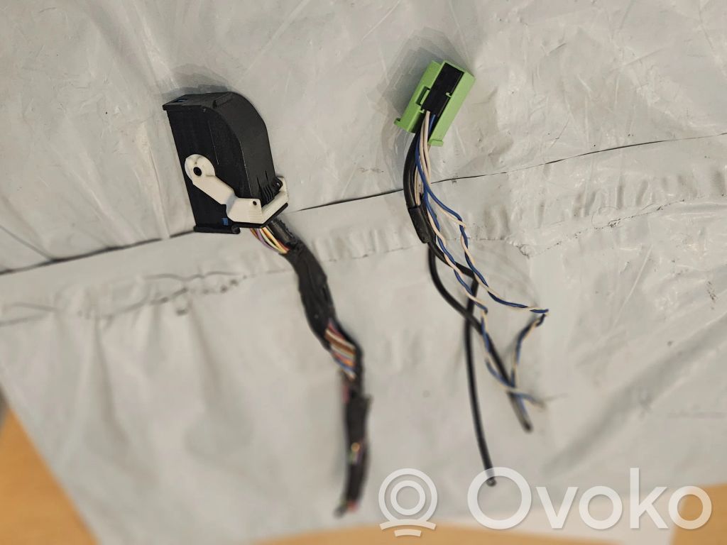 Volkswagen Tiguan Sound system wiring loom 
