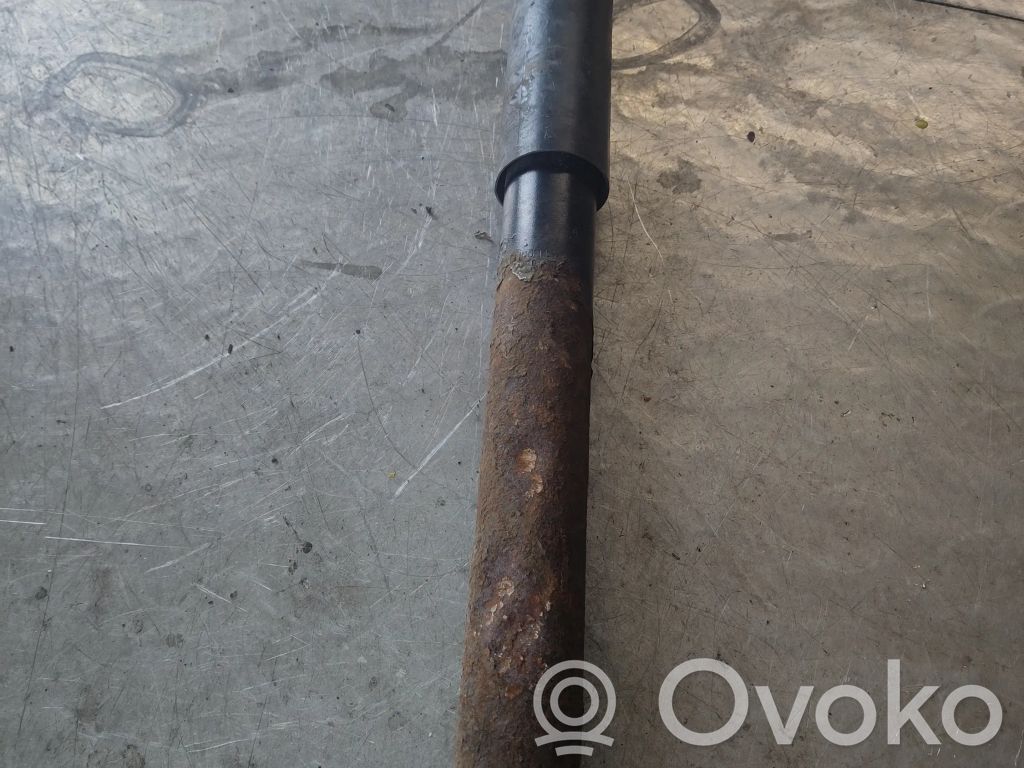 Stoßdämpfer hinten