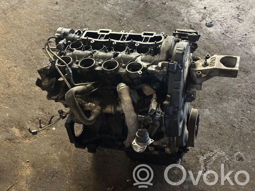 Motor   9HZ