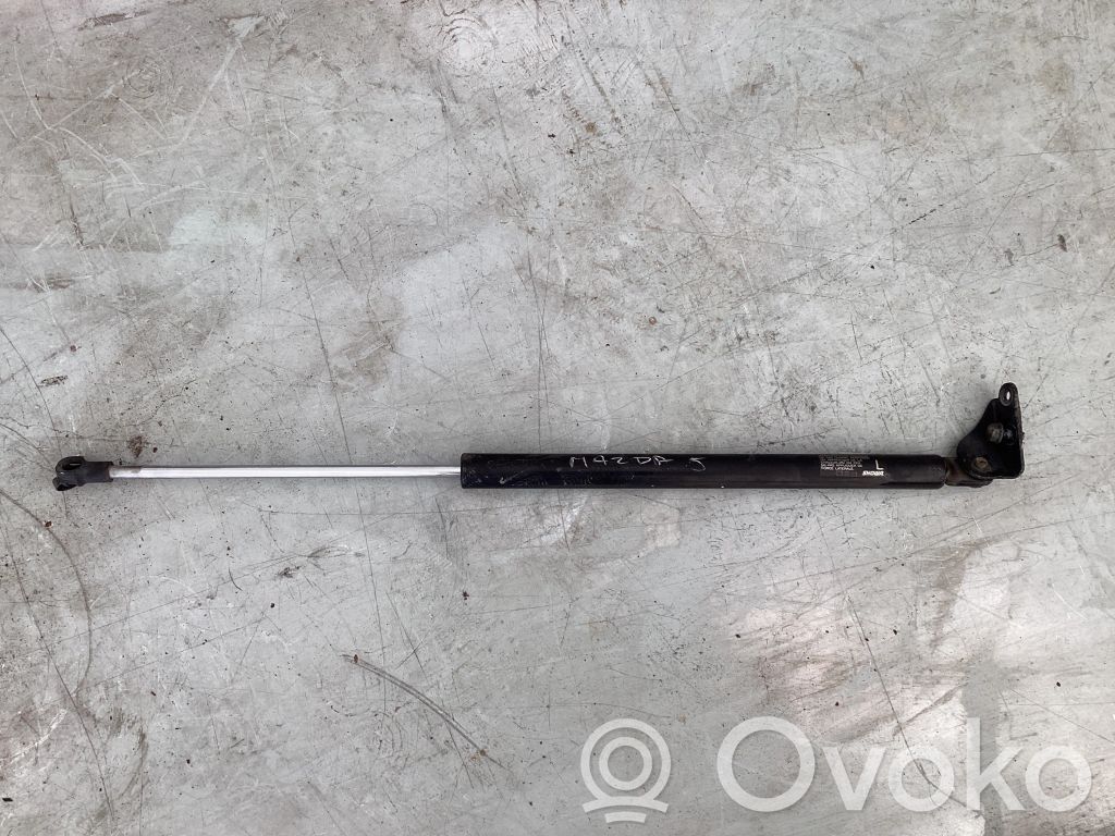 Tailgate/trunk strut/damper