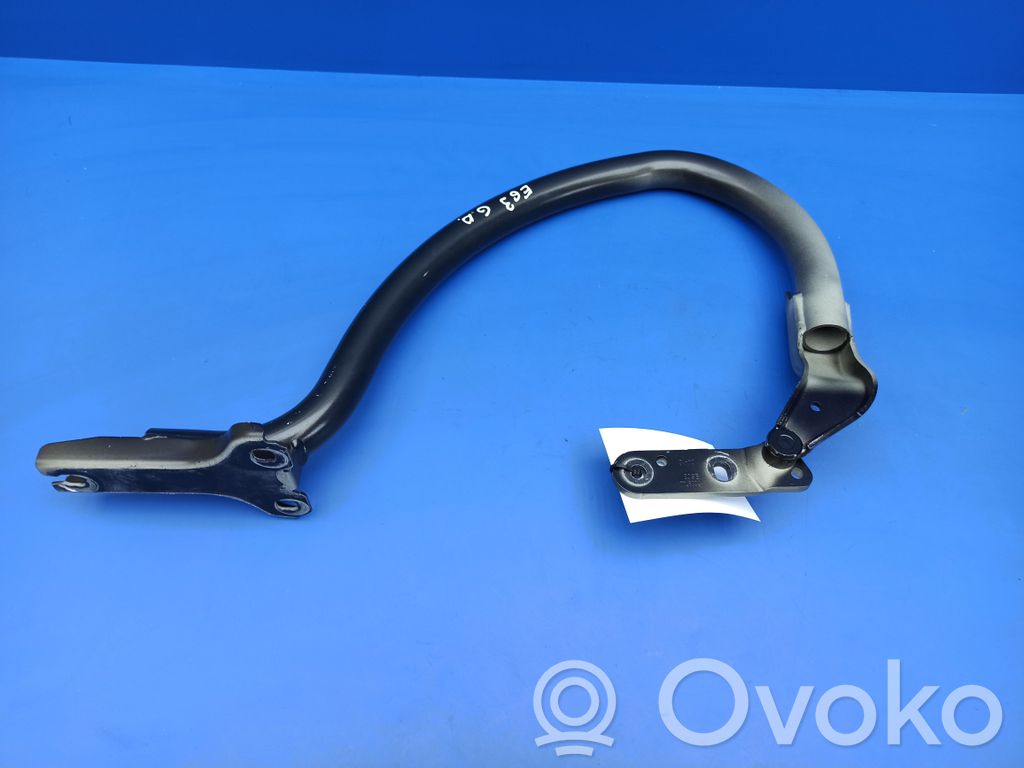 BMW 6 E63 E64 Tailgate/trunk/boot hinge 