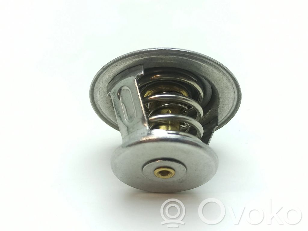 Termostato   9195124,811200