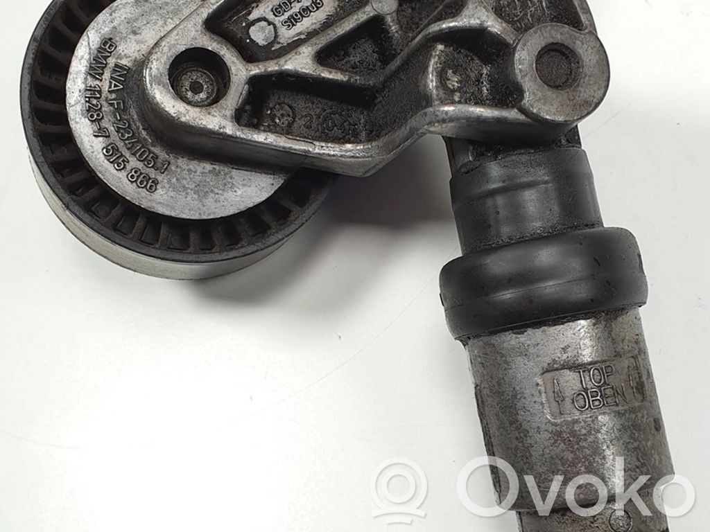 Land Rover Range Rover L322 Paskirstymo diržo įtempėjas 