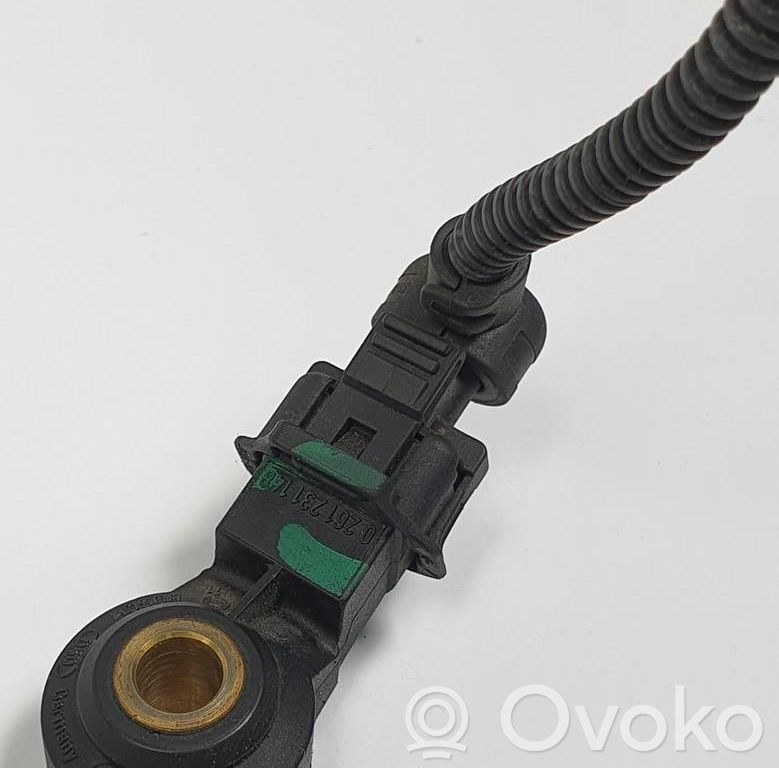 Klopfsensor   0261231148
