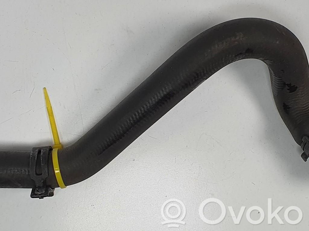 Volkswagen New Beetle Tubo flessibile del liquido di raffreddamento del motore