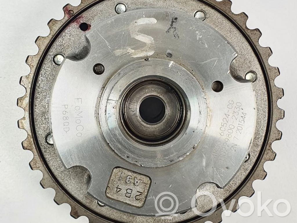 Ford Focus Pinion lanț distribuție 