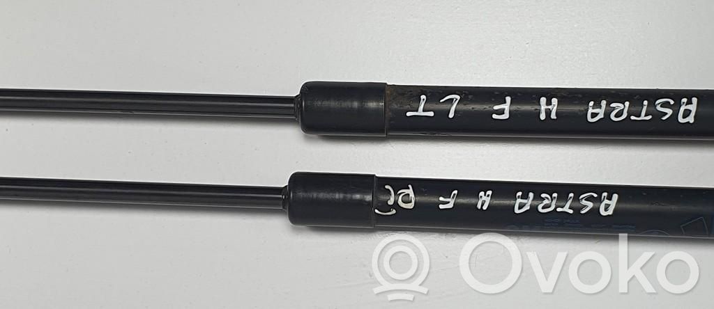 Jambe de force de hayon   463,463,829