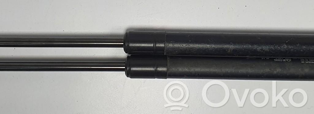 Tailgate strut   TELESKOPY,TELESKOPY