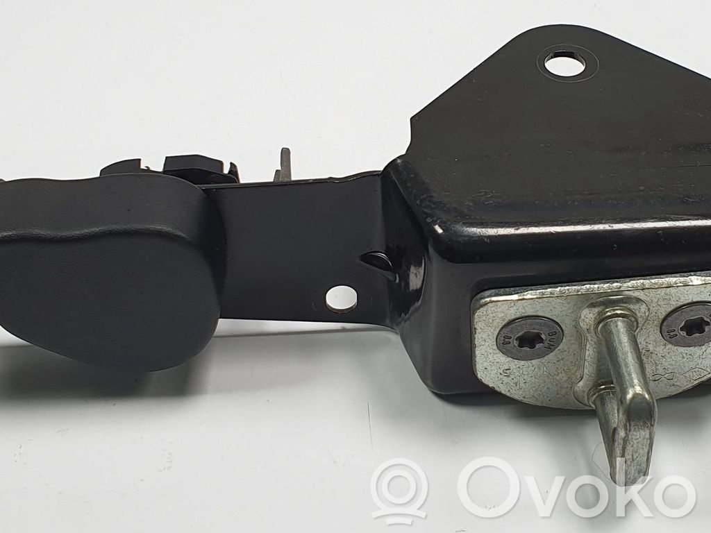 Renault Kangoo II Ușă spate 