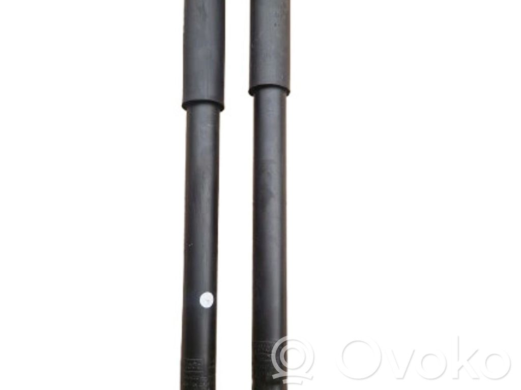 Stoßdämpfer hinten