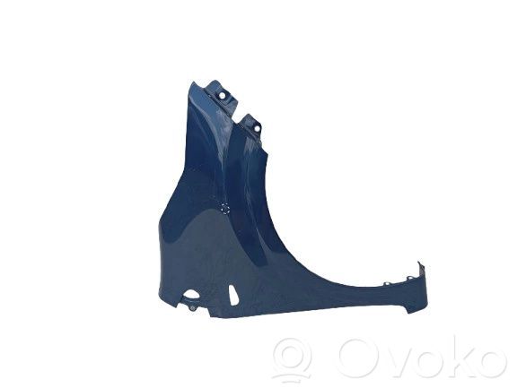 Guardabarro   66311G6000