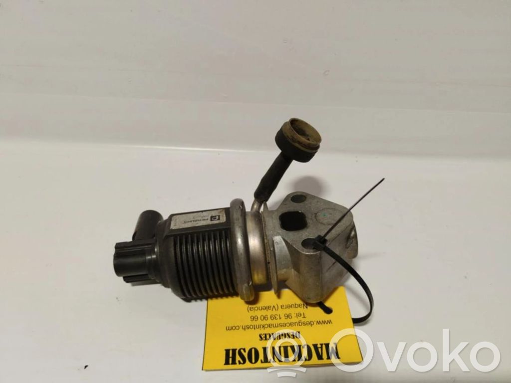 Válvula EGR   53623001