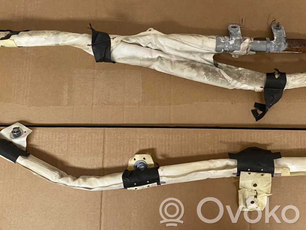 Tesla Model 3 Airbag del techo 