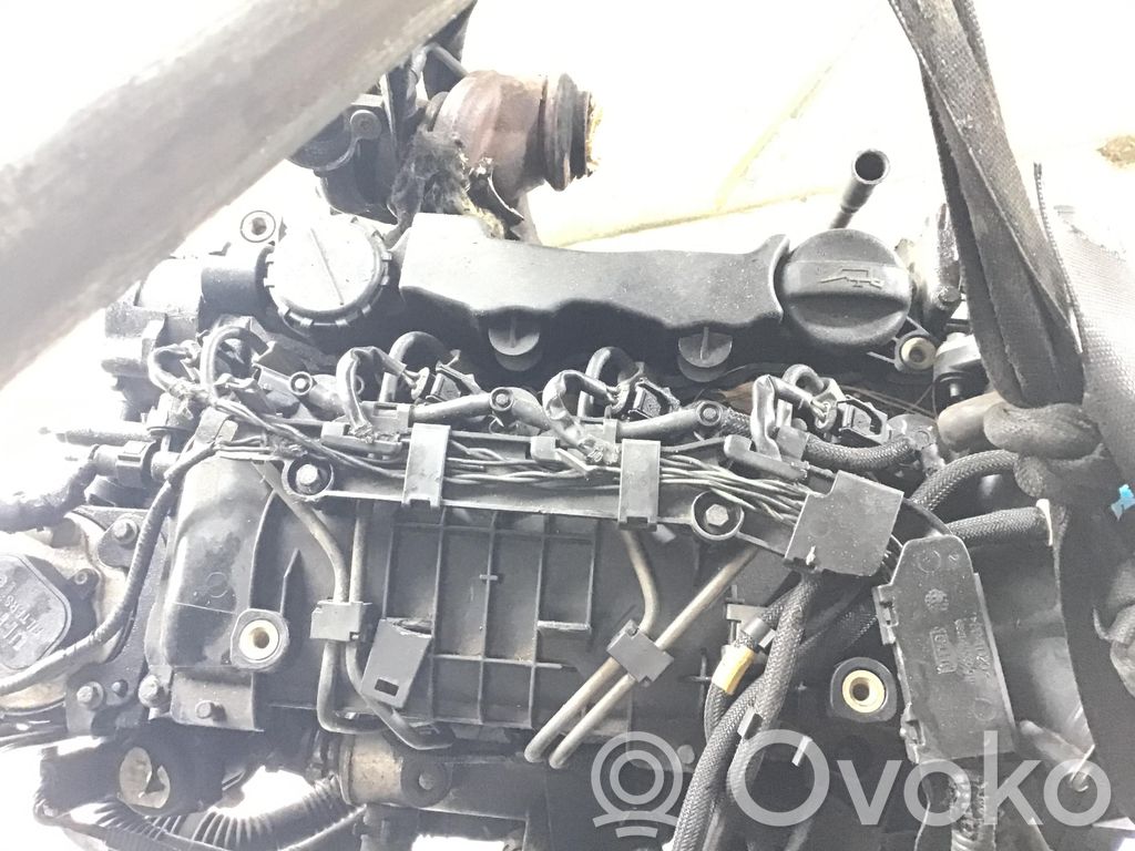 Ford Focus Двигатель 