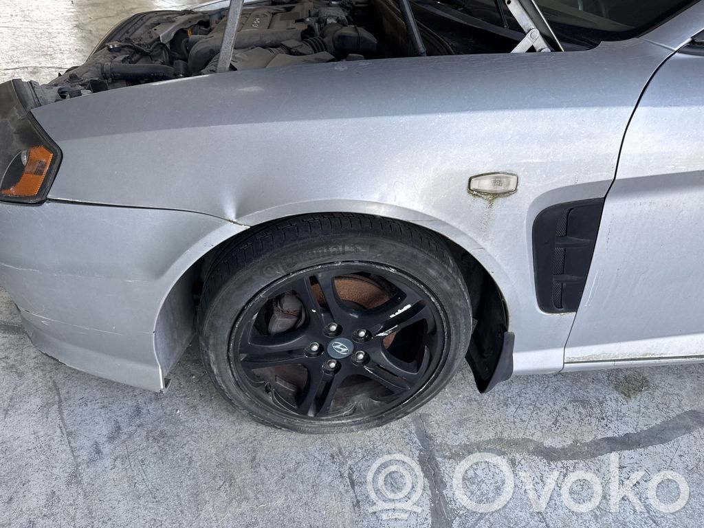Hyundai Coupe Guardabarro 
