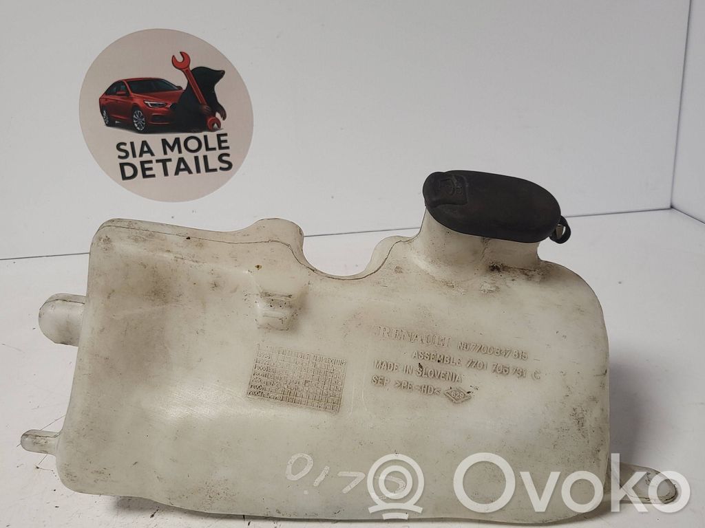 Renault Clio II Langų skysčio bakelis 
