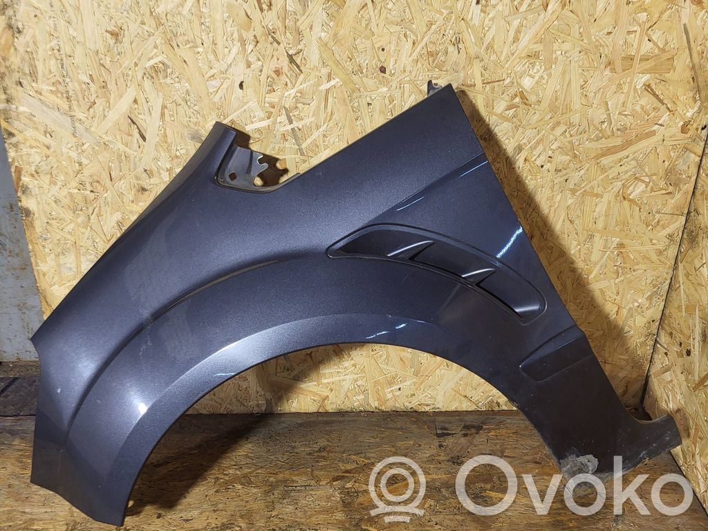 Ford S-MAX Fender 