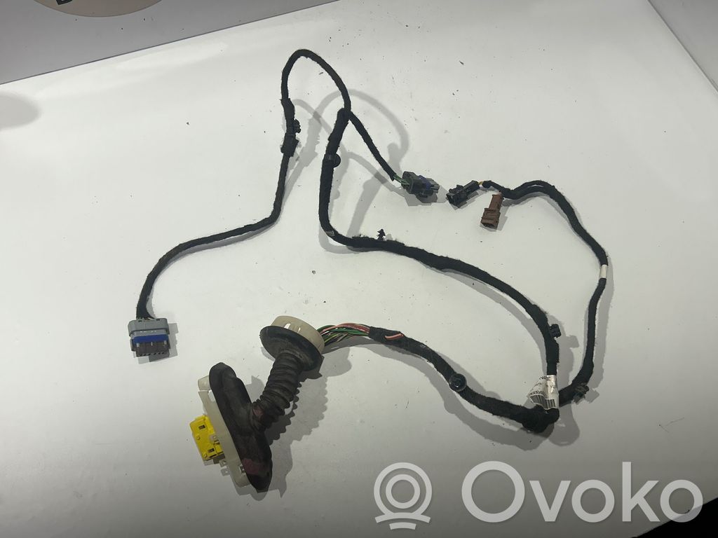 Cableado de puerta delantera   9688469280