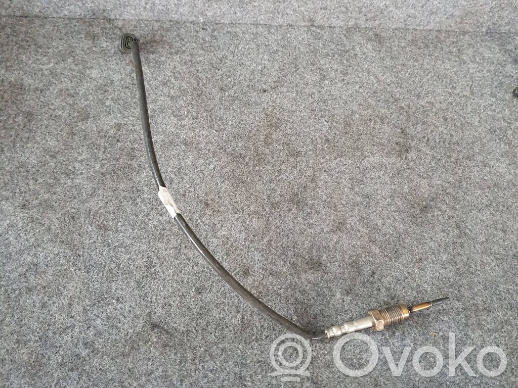 BMW 4 F32 F33 Abgastemperatursensor 