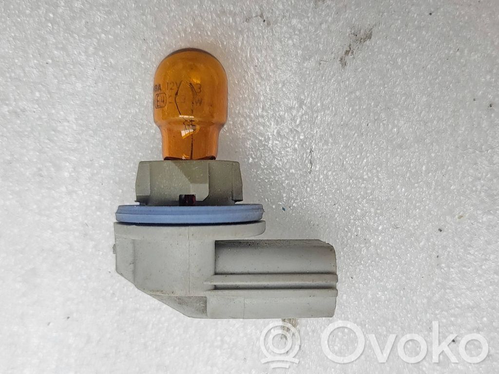Tesla Model S Seitenblinker 