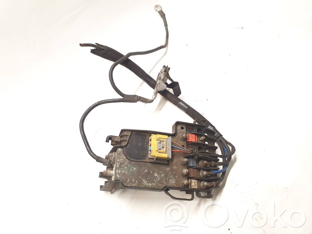 Citroen Berlingo Positive wiring loom 