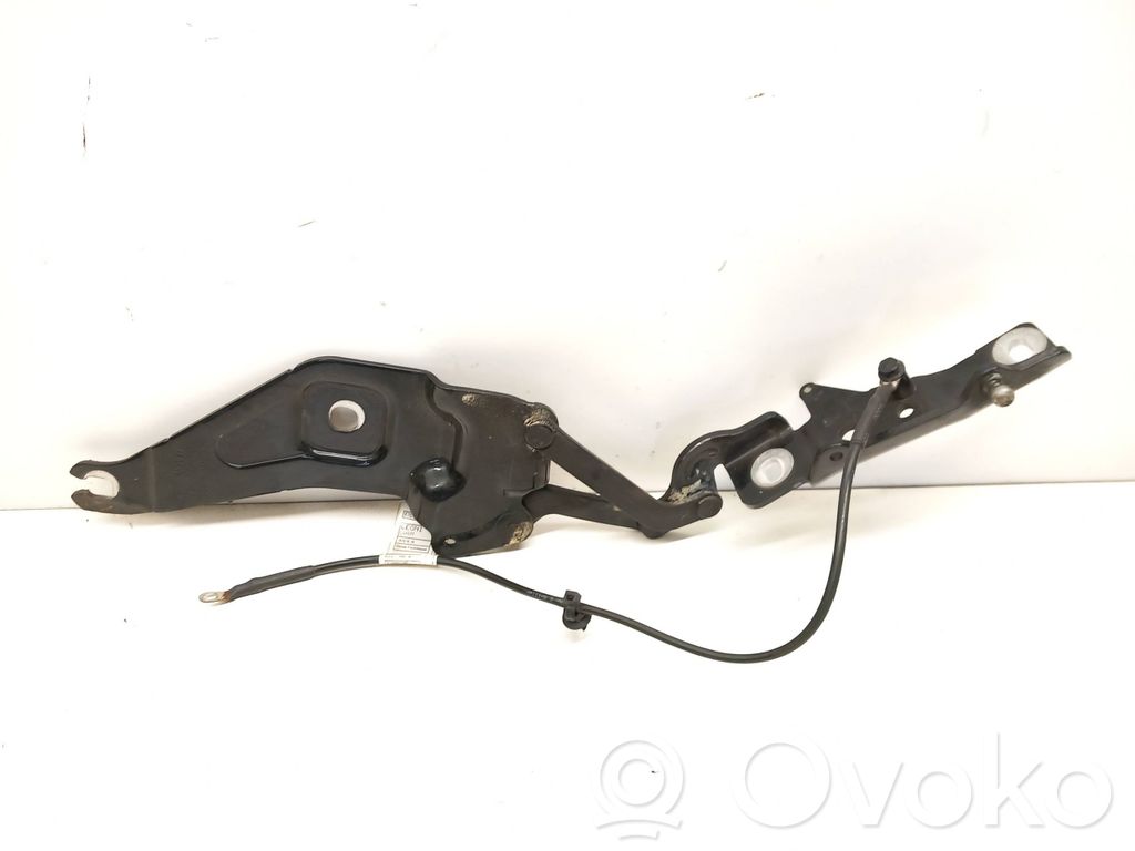 BMW X5 E70 Engine bonnet/hood hinges 