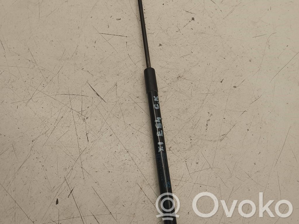 BMW X1 E84 Tailgate/trunk strut/damper 