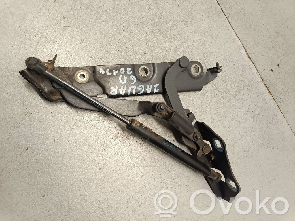Jaguar XF X250 Tailgate/trunk/boot hinge 