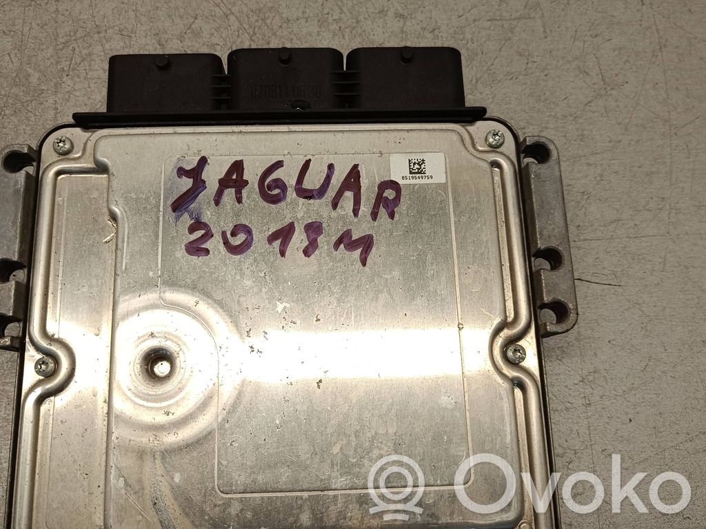 Jaguar XF X250 Engine control unit/module 