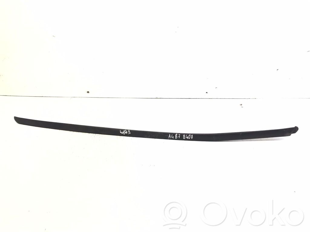 Audi A4 S4 B7 8E 8H Windshield trim 