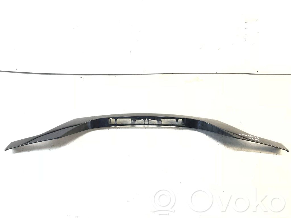 BMW X3 E83 Tailgate trim 
