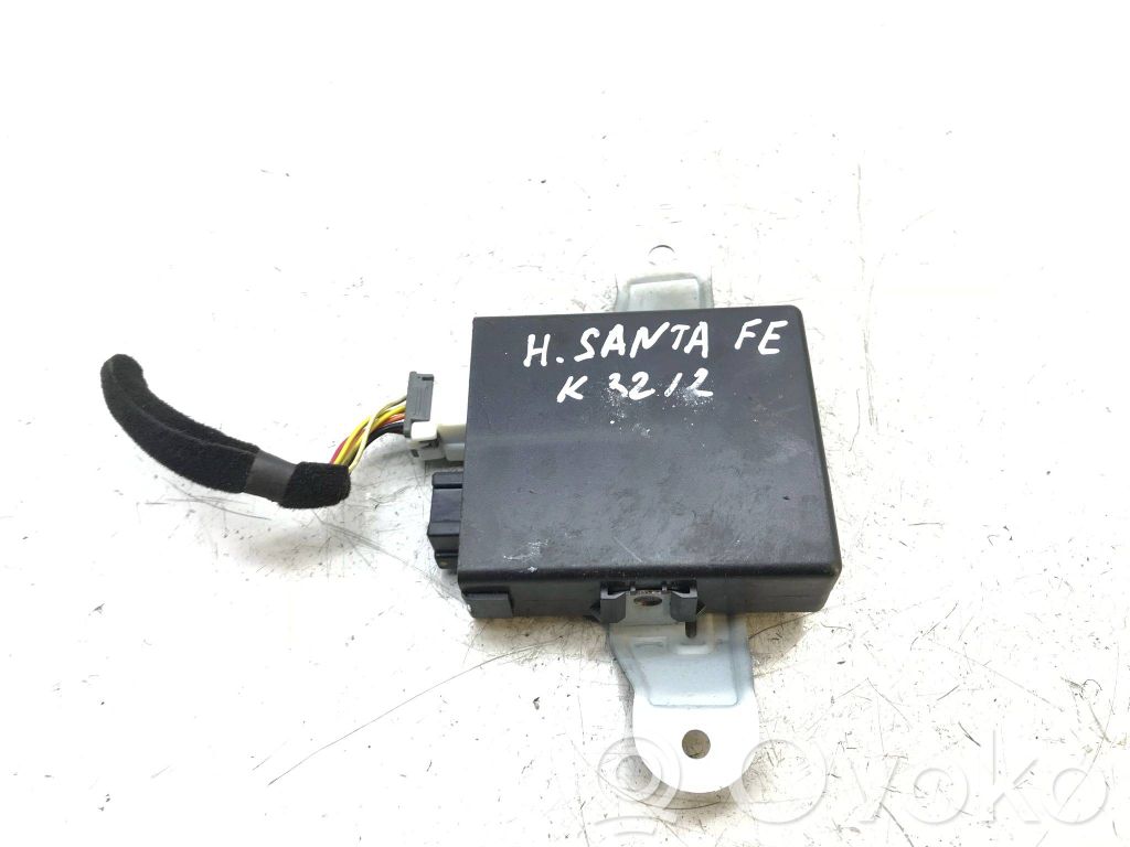 Hyundai Santa Fe Kiti valdymo blokai/ moduliai 