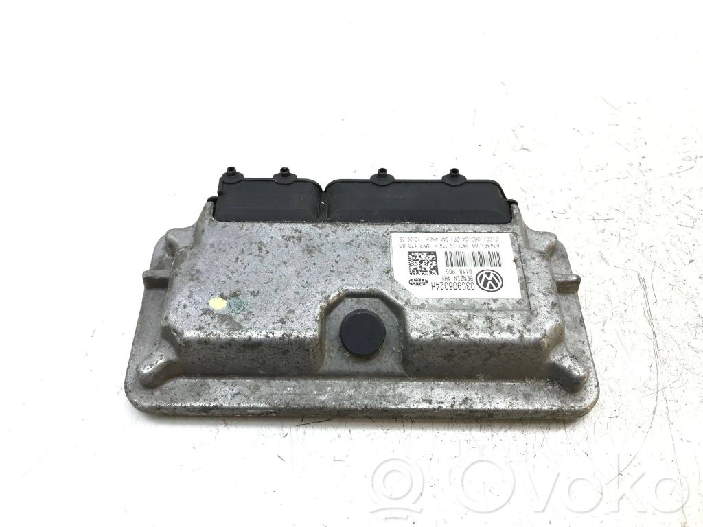 Seat Ibiza III (6L) Engine control unit/module 