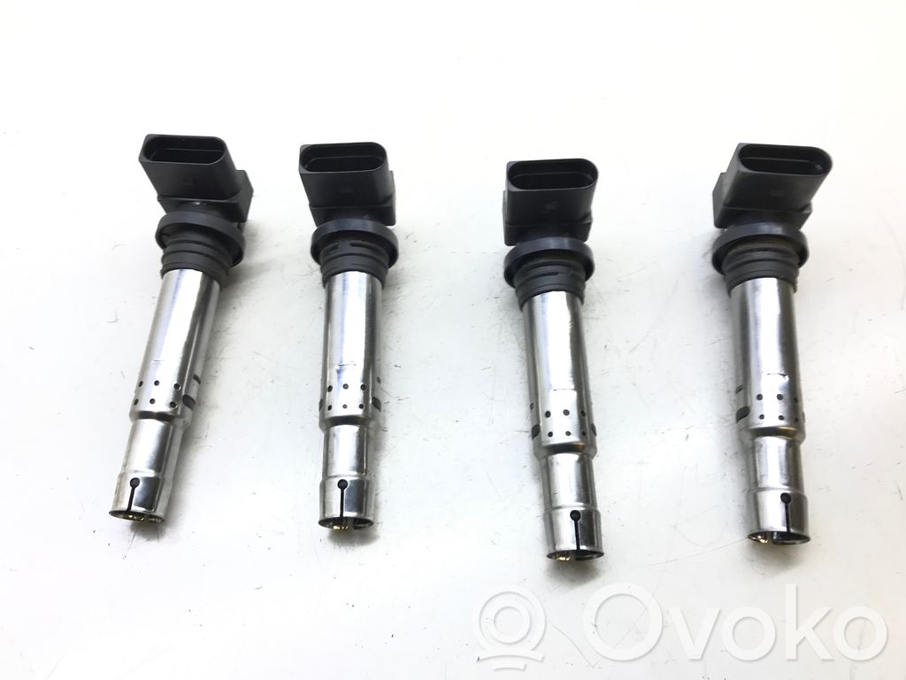 Volkswagen Golf V Aukštos įtampos ritė "babyna" 