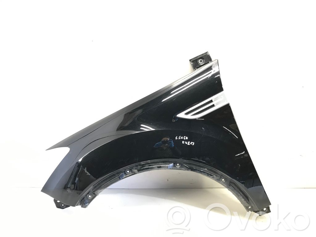 Ford Kuga I Fender 