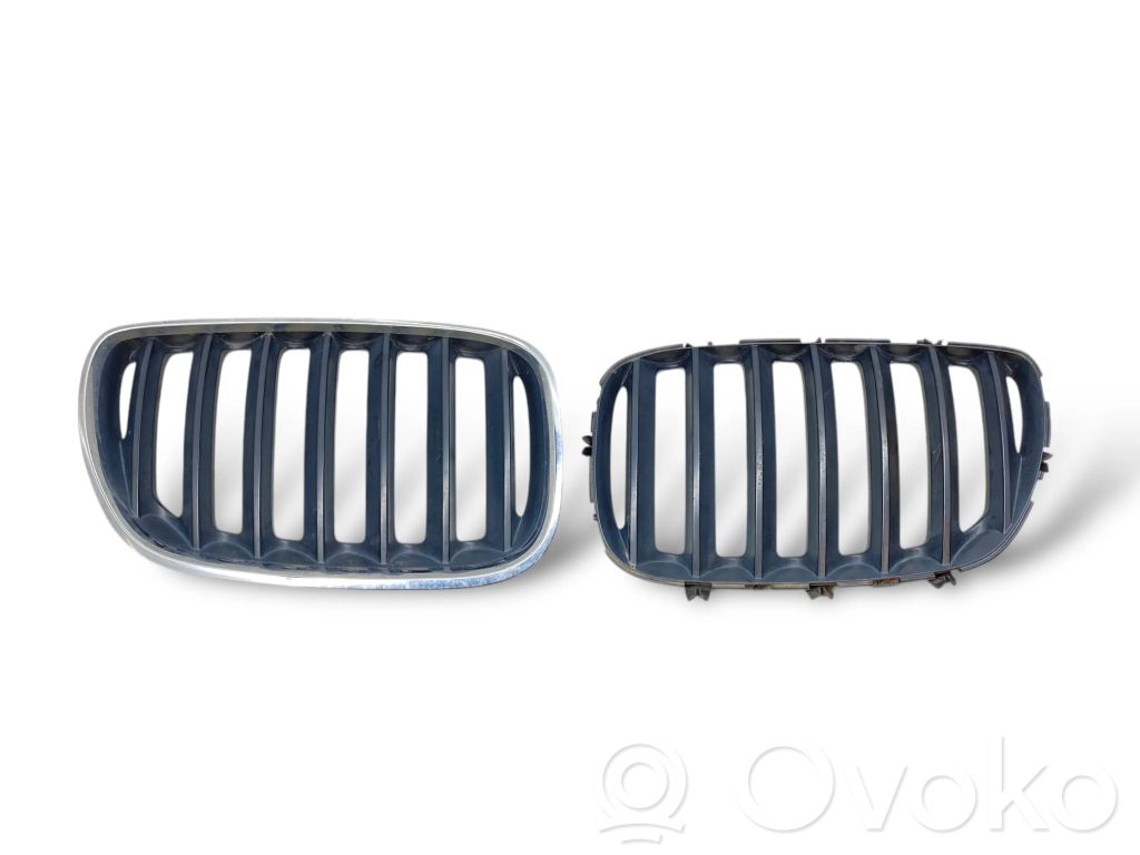 BMW X5 E53 Front grill 